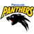 Panasonic Panthers