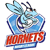 Rochdale Hornets RLFC