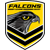 Sunshine Coast Falcons