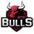 GTZ-Bulls