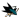 San Jose Sharks