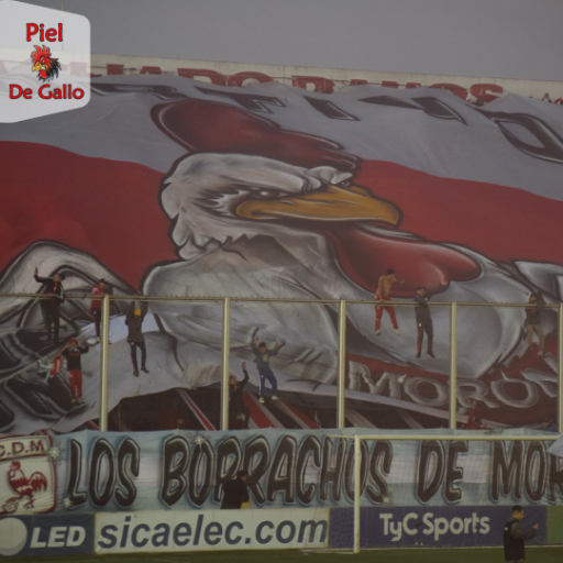 CapoDelOeste14