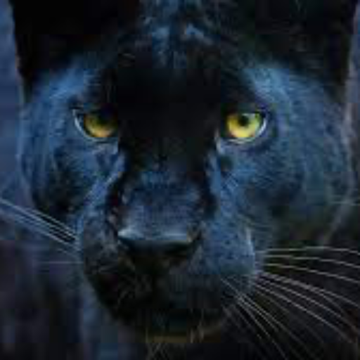 GreatLeo